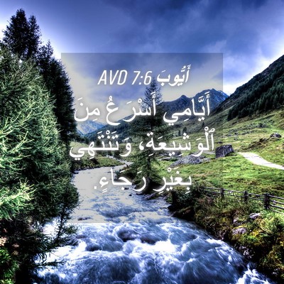 Picture 04 - أَيُّوبَ 7:6 AVD - أَيَّامِي أَسْرَعُ مِنَ - Bible Verse Picture