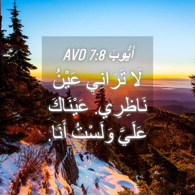 Picture 04 - أَيُّوبَ 7:8 AVD - لَا تَرَانِي عَيْنُ - Bible Verse Picture
