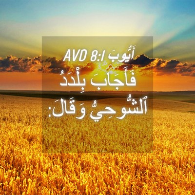 Picture 04 - أَيُّوبَ 8:1 AVD - فَأَجَابَ بِلْدَدُ - Bible Verse Picture