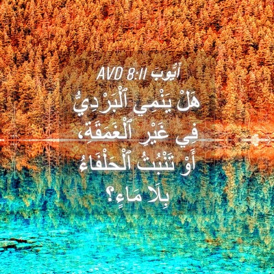 Picture 04 - أَيُّوبَ 8:11 AVD - هَلْ يَنْمِي ٱلْبَرْدِيُّ - Bible Verse Picture