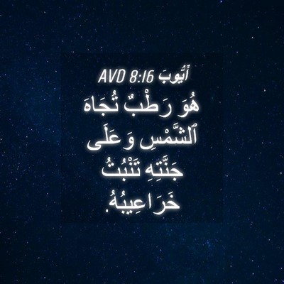 Picture 04 - أَيُّوبَ 8:16 AVD - هُوَ رَطْبٌ تُجَاهَ - Bible Verse Picture
