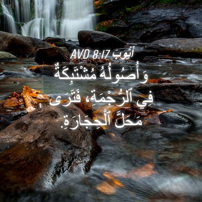 Picture 04 - أَيُّوبَ 8:17 AVD - وَأُصُولُهُ مُشْتَبِكَةٌ - Bible Verse Picture