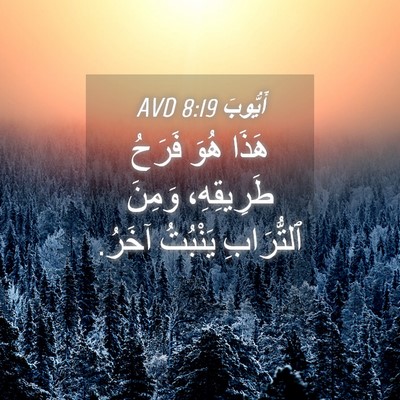 Picture 04 - أَيُّوبَ 8:19 AVD - هَذَا هُوَ فَرَحُ - Bible Verse Picture