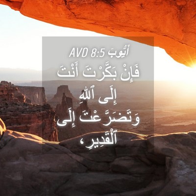 Picture 04 - أَيُّوبَ 8:5 AVD - فَإِنْ بَكَّرْتَ أَنْتَ - Bible Verse Picture