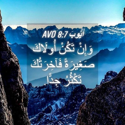 Picture 04 - أَيُّوبَ 8:7 AVD - وَإِنْ تَكُنْ أُولَاكَ - Bible Verse Picture