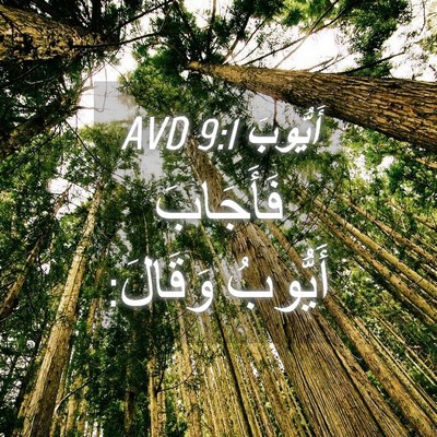 Picture 04 - أَيُّوبَ 9:1 AVD - فَأَجَابَ أَيُّوبُ - Bible Verse Picture