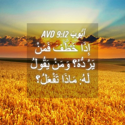 Picture 04 - أَيُّوبَ 9:12 AVD - إِذَا خَطَفَ فَمَنْ - Bible Verse Picture