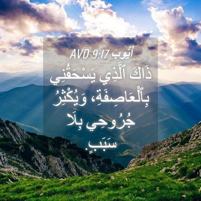 Picture 04 - أَيُّوبَ 9:17 AVD - ذَاكَ ٱلَّذِي يَسْحَقُنِي - Bible Verse Picture