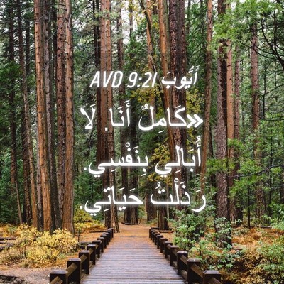 Picture 04 - أَيُّوبَ 9:21 AVD - «كَامِلٌ أَنَا. لَا - Bible Verse Picture