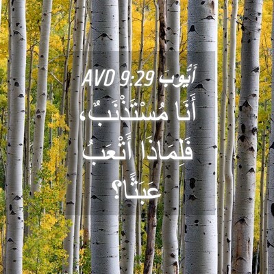 Picture 04 - أَيُّوبَ 9:29 AVD - أَنَا مُسْتَذْنَبٌ، - Bible Verse Picture
