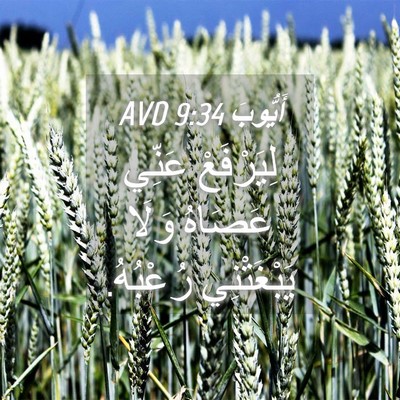 Picture 04 - أَيُّوبَ 9:34 AVD - لِيَرْفَعْ عَنِّي عَصَاهُ - Bible Verse Picture
