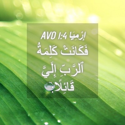 Picture 04 - إِرْمِيَا 1:4 AVD - فَكَانَتْ كَلِمَةُ - Bible Verse Picture