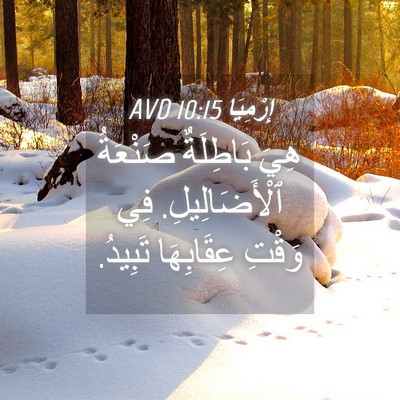 Picture 04 - إِرْمِيَا 10:15 AVD - هِيَ بَاطِلَةٌ صَنْعَةُ - Bible Verse Picture