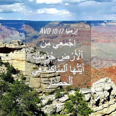 Picture 04 - إِرْمِيَا 10:17 AVD - اِجْمَعِي مِنَ ٱلْأَرْضِ - Bible Verse Picture