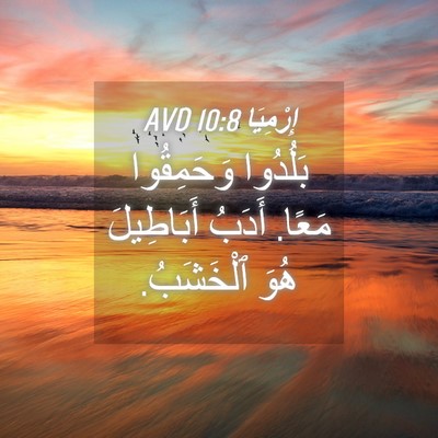 Picture 04 - إِرْمِيَا 10:8 AVD - بَلُدُوا وَحَمِقُوا مَعًا. - Bible Verse Picture