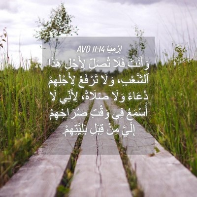 Picture 04 - إِرْمِيَا 11:14 AVD - وَأَنْتَ فَلَا تُصَلِّ - Bible Verse Picture