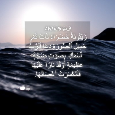 Picture 04 - إِرْمِيَا 11:16 AVD - زَيْتُونَةً خَضْرَاءَ - Bible Verse Picture