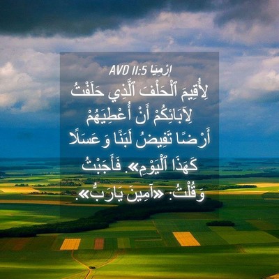 Picture 04 - إِرْمِيَا 11:5 AVD - لِأُقِيمَ ٱلْحَلْفَ - Bible Verse Picture