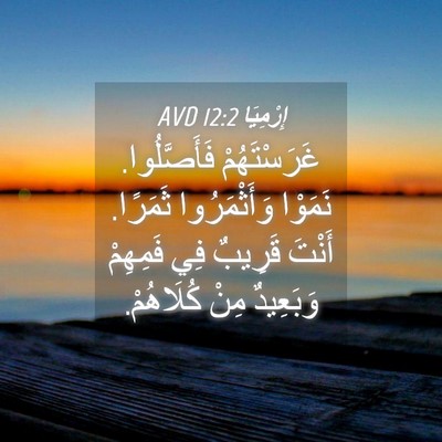 Picture 04 - إِرْمِيَا 12:2 AVD - غَرَسْتَهُمْ فَأَصَّلُوا. - Bible Verse Picture