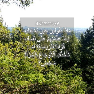 Picture 04 - إِرْمِيَا 13:21 AVD - مَاذَا تَقُولِينَ حِينَ - Bible Verse Picture