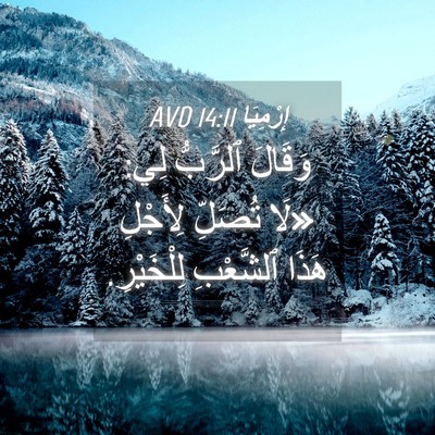 Picture 04 - إِرْمِيَا 14:11 AVD - وَقَالَ ٱلرَّبُّ لِي: «لَا - Bible Verse Picture