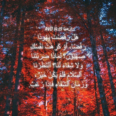 Picture 04 - إِرْمِيَا 14:19 AVD - هَلْ رَفَضْتَ يَهُوذَا - Bible Verse Picture