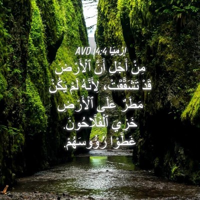 Picture 04 - إِرْمِيَا 14:4 AVD - مِنْ أَجْلِ أَنَّ - Bible Verse Picture