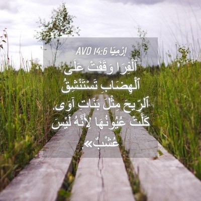 Picture 04 - إِرْمِيَا 14:6 AVD - ٱلْفِرَا وَقَفَتْ عَلَى - Bible Verse Picture
