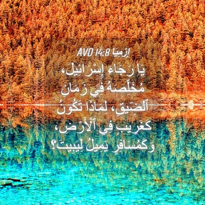 Picture 04 - إِرْمِيَا 14:8 AVD - يَا رَجَاءَ إِسْرَائِيلَ، - Bible Verse Picture