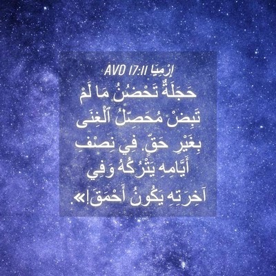 Picture 04 - إِرْمِيَا 17:11 AVD - حَجَلَةٌ تَحْضُنُ مَا لَمْ - Bible Verse Picture