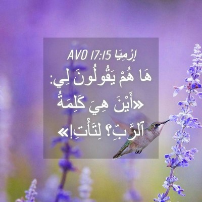 Picture 04 - إِرْمِيَا 17:15 AVD - هَا هُمْ يَقُولُونَ لِي: - Bible Verse Picture