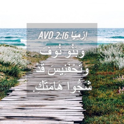 Picture 04 - إِرْمِيَا 2:16 AVD - وَبَنُو نُوفَ - Bible Verse Picture