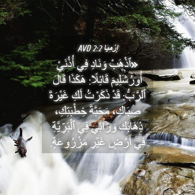 Picture 04 - إِرْمِيَا 2:2 AVD - «ٱذْهَبْ وَنَادِ فِي - Bible Verse Picture