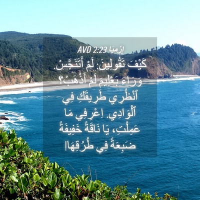 Picture 04 - إِرْمِيَا 2:23 AVD - كَيْفَ تَقُولِينَ: لَمْ - Bible Verse Picture