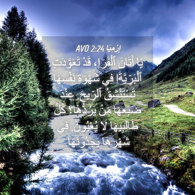 Picture 04 - إِرْمِيَا 2:24 AVD - يَا أَتَانَ ٱلْفَرَا، قَدْ - Bible Verse Picture
