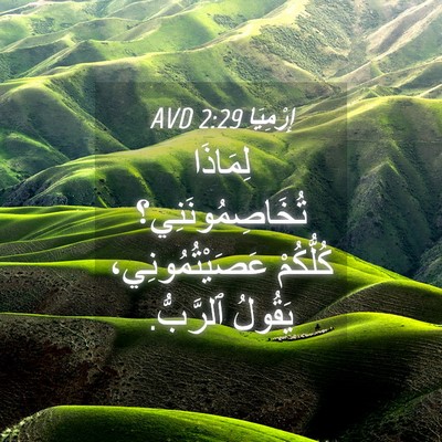 Picture 04 - إِرْمِيَا 2:29 AVD - لِمَاذَا تُخَاصِمُونَنِي؟ - Bible Verse Picture