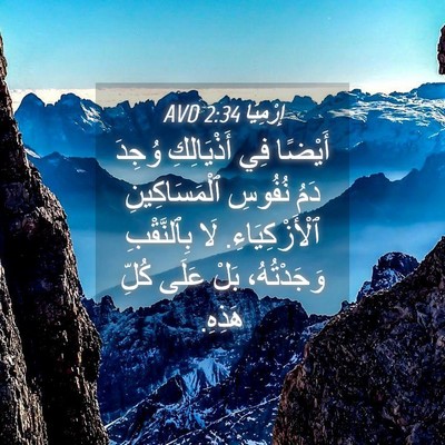 Picture 04 - إِرْمِيَا 2:34 AVD - أَيْضًا فِي أَذْيَالِكِ - Bible Verse Picture