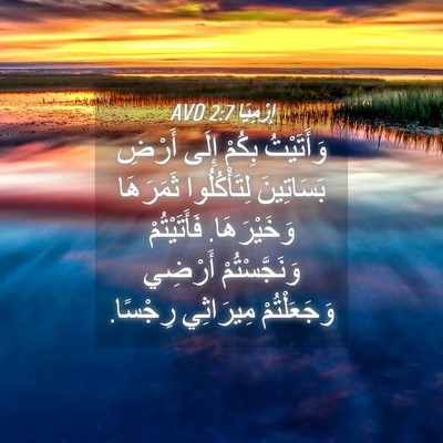 Picture 04 - إِرْمِيَا 2:7 AVD - وَأَتَيْتُ بِكُمْ إِلَى - Bible Verse Picture