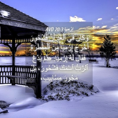 Picture 04 - إِرْمِيَا 20:3 AVD - وَكَانَ فِي ٱلْغَدِ أَنَّ - Bible Verse Picture