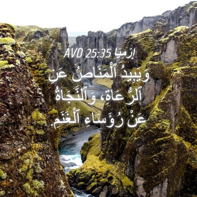 Picture 04 - إِرْمِيَا 25:35 AVD - وَيَبِيدُ ٱلْمَنَاصُ عَنِ - Bible Verse Picture