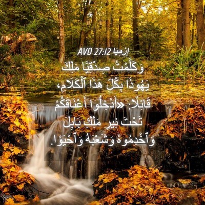Picture 04 - إِرْمِيَا 27:12 AVD - وَكَلَّمْتُ صِدْقِيَّا - Bible Verse Picture