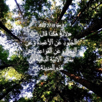 Picture 04 - إِرْمِيَا 27:19 AVD - «لِأَنَّهُ هَكَذَا قَالَ - Bible Verse Picture