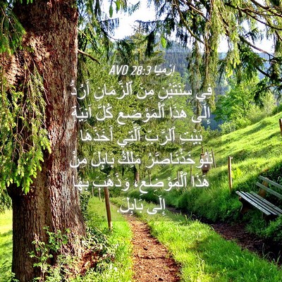 Picture 04 - إِرْمِيَا 28:3 AVD - فِي سَنَتَيْنِ مِنَ - Bible Verse Picture