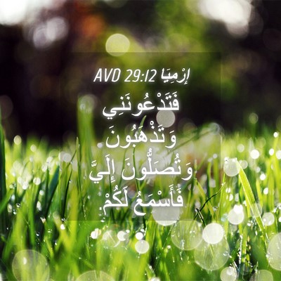 Picture 04 - إِرْمِيَا 29:12 AVD - فَتَدْعُونَنِي - Bible Verse Picture