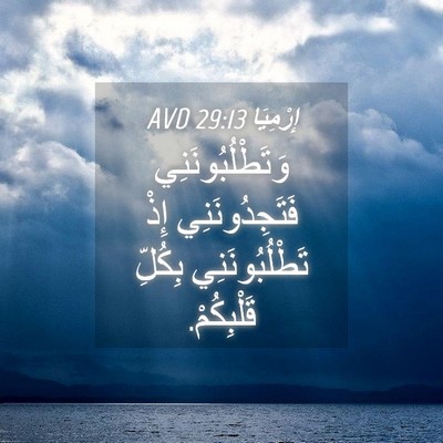 Picture 04 - إِرْمِيَا 29:13 AVD - وَتَطْلُبُونَنِي - Bible Verse Picture