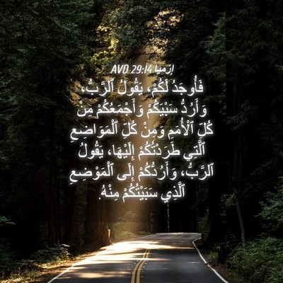 Picture 04 - إِرْمِيَا 29:14 AVD - فَأُوجَدُ لَكُمْ، يَقُولُ - Bible Verse Picture