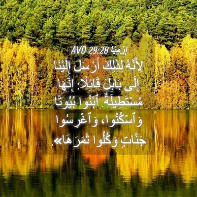 Picture 04 - إِرْمِيَا 29:28 AVD - لِأَنَّهُ لِذَلِكَ - Bible Verse Picture