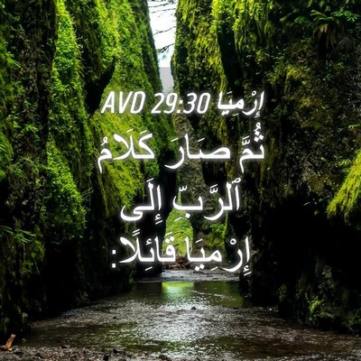 Picture 04 - إِرْمِيَا 29:30 AVD - ثُمَّ صَارَ كَلَامُ - Bible Verse Picture