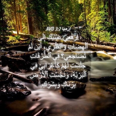 Picture 04 - إِرْمِيَا 3:2 AVD - اِرْفَعِي عَيْنَيْكِ - Bible Verse Picture