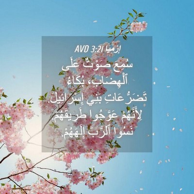 Picture 04 - إِرْمِيَا 3:21 AVD - سُمِعَ صَوْتٌ عَلَى - Bible Verse Picture